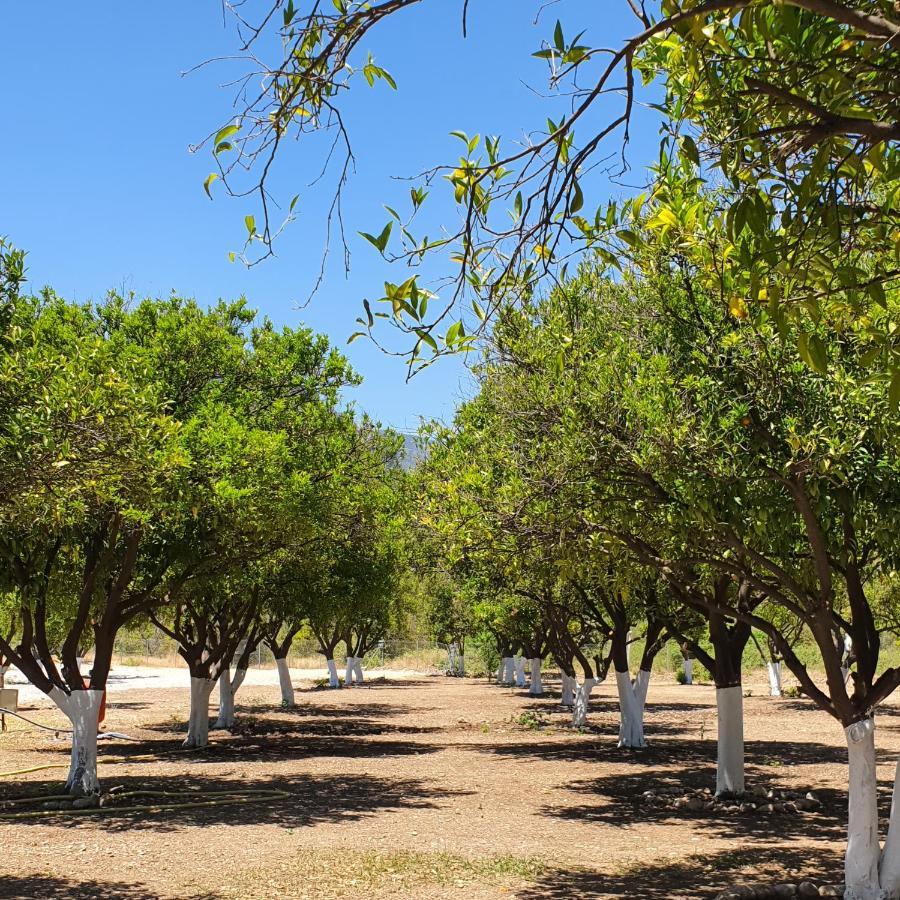 בלדיבי Orange Beach Camp מראה חיצוני תמונה